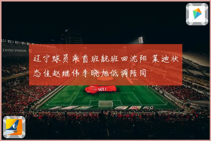 辽宁球员乘首班航班回沈阳 莱迪状态佳赵继伟李晓旭低调陪同