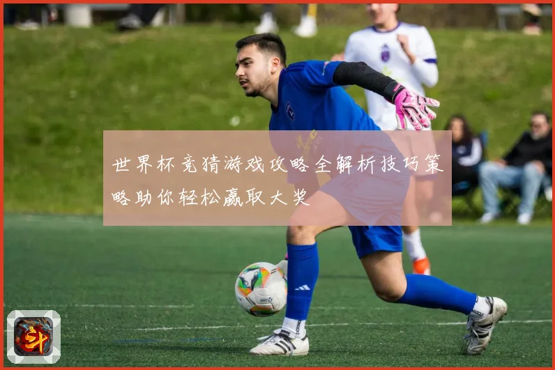 世界杯竞猜游戏攻略全解析技巧策略助你轻松赢取大奖